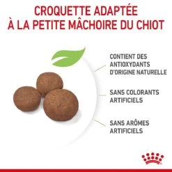 Royal Canin Vet Puppy Medium 10 Kg -Fournitures pour animaux royal canin puppy medium 1 1
