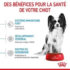 Royal Canin Vet Puppy X-Small Chiot De 2 à 10 Mois 3 Kg -Fournitures pour animaux royal canin puppy x small chiot 3 1