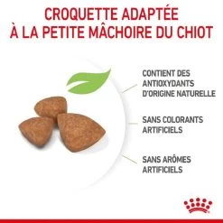 Royal Canin Vet Puppy X-Small Chiot De 2 à 10 Mois 3 Kg -Fournitures pour animaux royal canin puppy x small chiot 4 1
