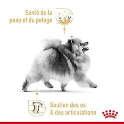 Royal Canin Spitz Nain Adult 1.5 Kg -Fournitures pour animaux royal canin spitz nain adult 4