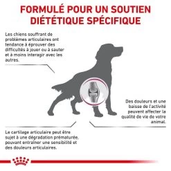 Royal Canin Vet Chien Mobility Support 2 Kg -Fournitures pour animaux royal canin veterinary dog mobility support2 1