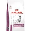 Royal Canin Vet Chien Mobility Support 2 Kg -Fournitures pour animaux royal canin veterinary dog mobility support 7 kg 1