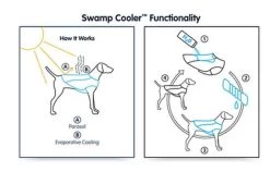 Ruffwear Jet Stream Orange XL - Destockage -Fournitures pour animaux ruffwear jet stream orange xl5