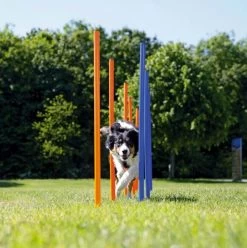 Trixie Slalom Agility -Fournitures pour animaux slalom3