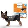 Thundershirt Chien XXS 0-4 Kg -Fournitures pour animaux thundershirt chien xxs 0 4 kg