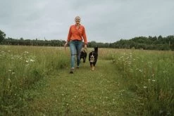 Tickless Human Vert à Pile -Fournitures pour animaux tickless human vert pile3