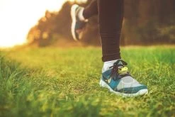 Tickless Run Rechargeable -Fournitures pour animaux tickless run vert rechargeable3