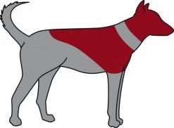 Trixie Carcan Gonflable Pour Chien XS -Fournitures pour animaux trixie carcan gonflable pour chien xs3 1