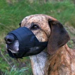 Trixie Muselière Avec Partie Maillée Noir S -Fournitures pour animaux trixie muselie re avec partie maille e noir s2