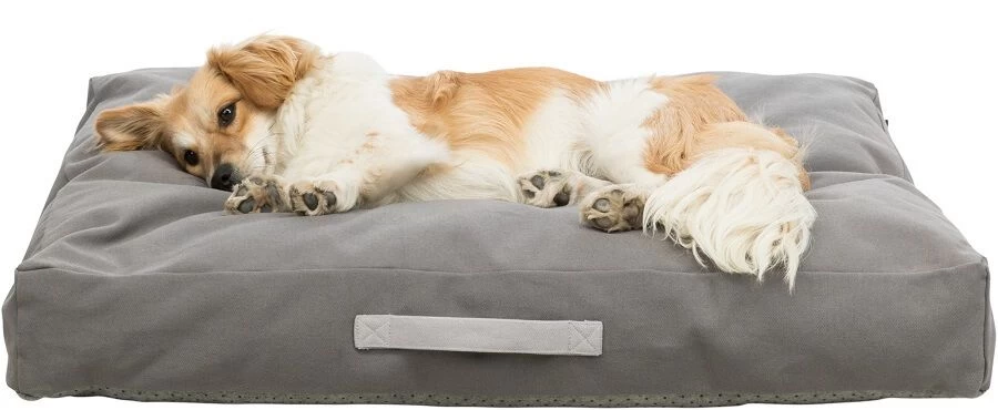 Trixie Coussin Be Eco Danilo Pour Chien Gris 55 X 55 Cm 6 Trixie Coussin Be Eco Danilo Pour Chien Gris 55 X 55 Cm – Image 4