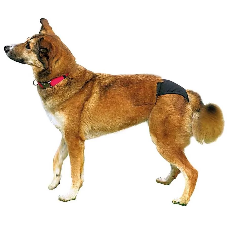 Trixie Slip De Protection Pour Chien L 4 Trixie Slip De Protection Pour Chien L – Image 2