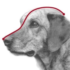 Trixie Muselière En Plastique Pour Chien S 7 Trixie Muselière En Plastique Pour Chien S -Fournitures pour animaux trixie museli re en plastique chiens xs 1