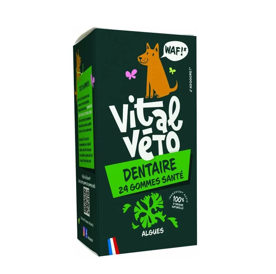 Vitalvéto Gommes Dentaire Chien X24 3 Vitalvéto Gommes Dentaire Chien X24