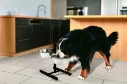 Zolux Support Double Réglable + 2 Bols 2,75 L -Fournitures pour animaux zolux support double re glable 2 bols 2 75 l3